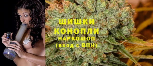 бошки Богданович